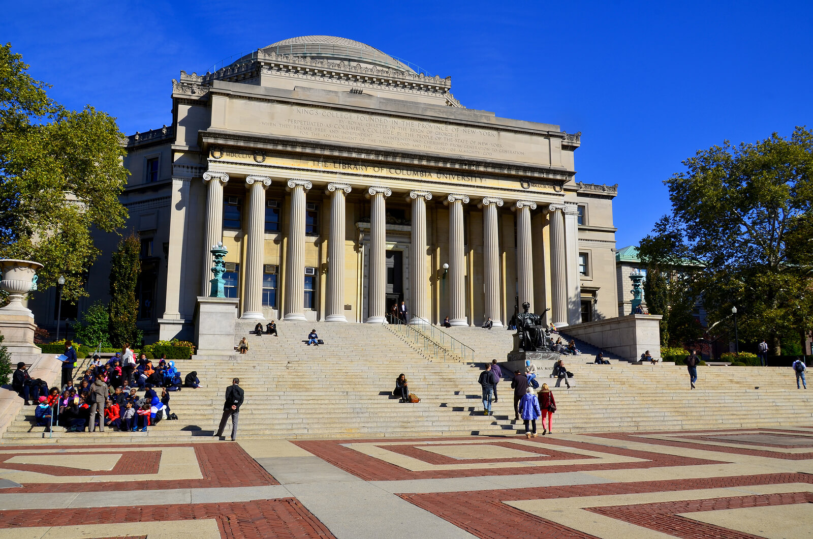 Ivy League Schools What You Need to Know